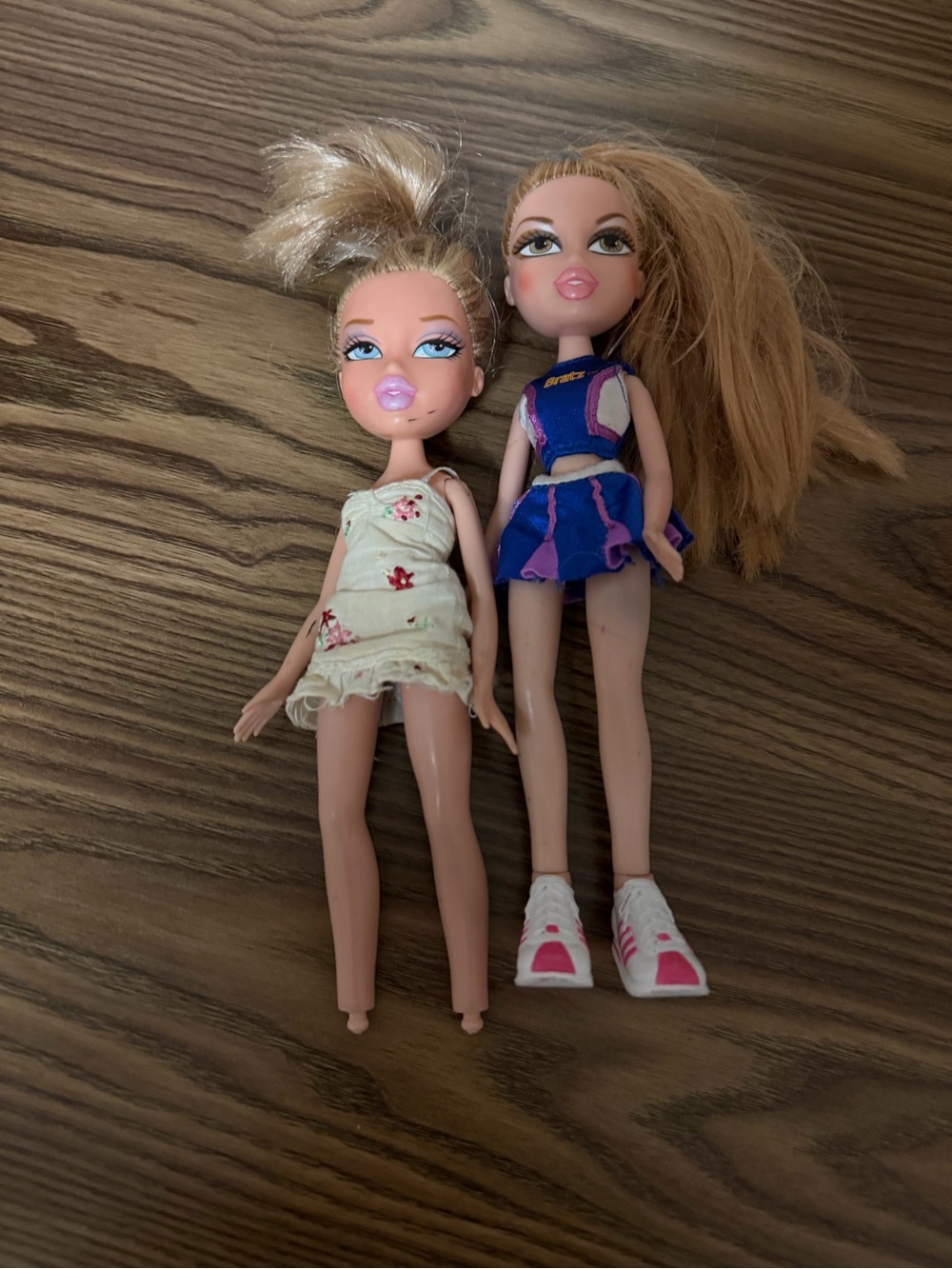 2 Bratz dolls